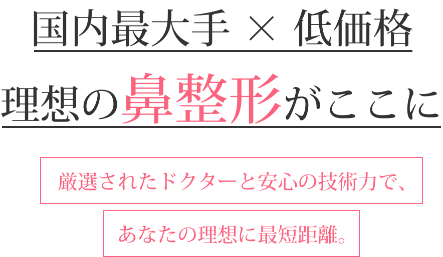 国内最大手×低価格理想の鼻整形がここに